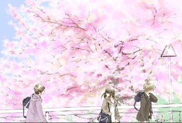 蘑菇网页版视频